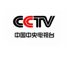 正文适合核对表述